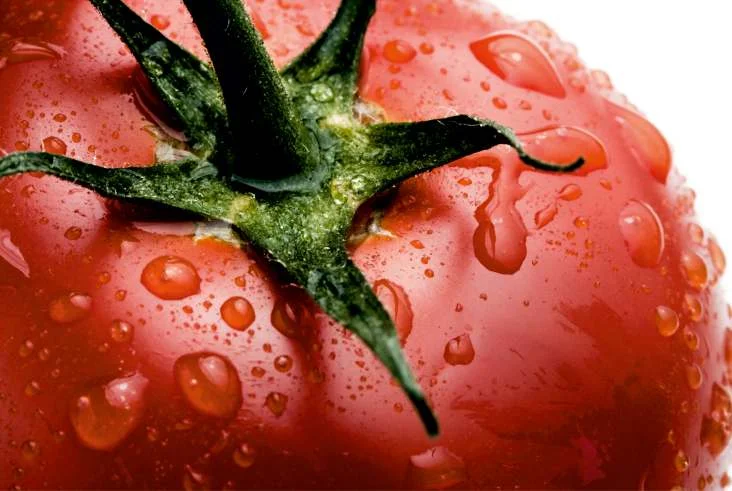 tomatos_1