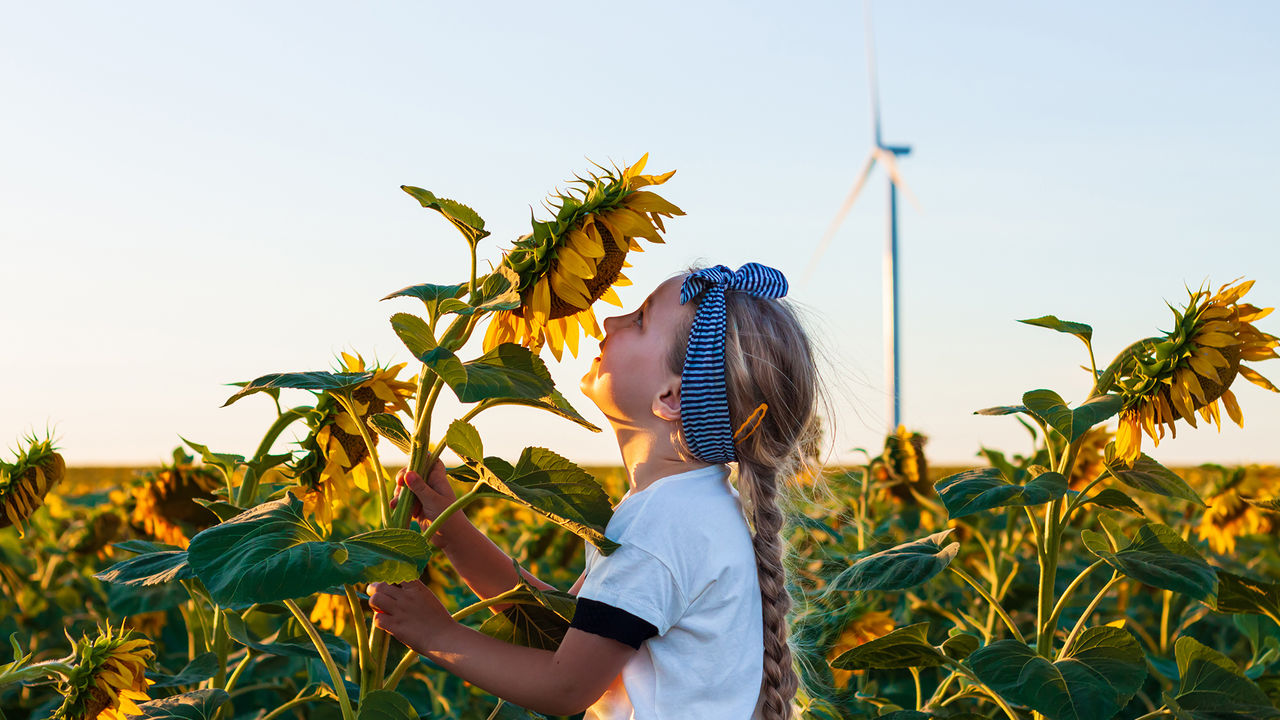 UN Sustainaability Development Goals