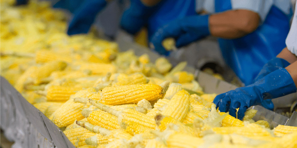 Industrial chillers for food processes