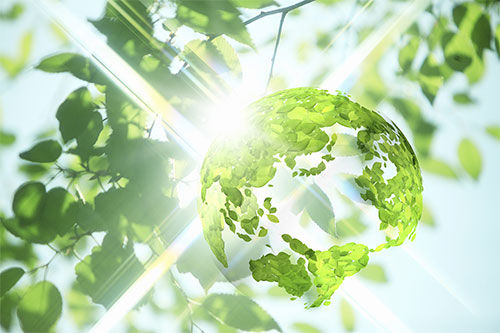 SWEP support net-zero  goals